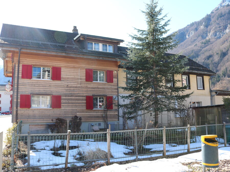 Gartenseite des Hauses mit Umschwung und Bergkulisse